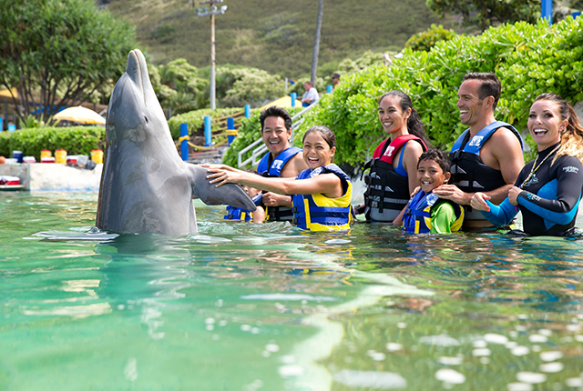 夏威夷海洋公园极致海豚历险