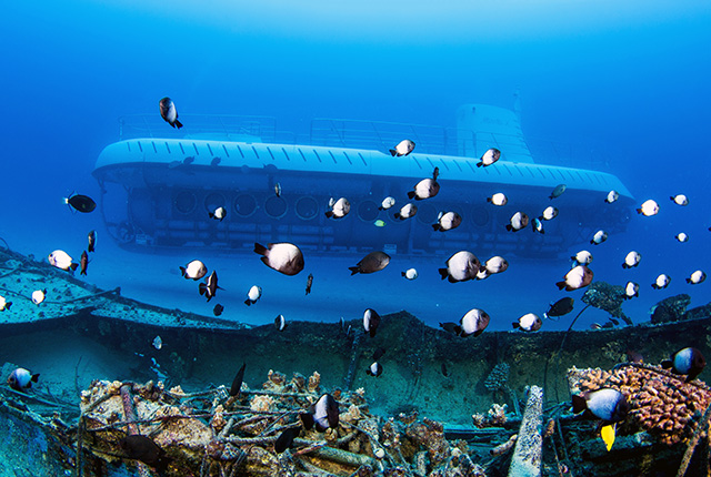 大岛可纳亚特兰蒂斯潜水艇
