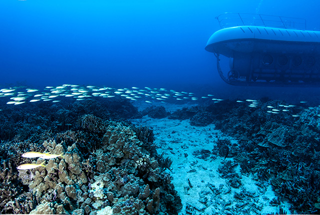 大岛可纳亚特兰蒂斯潜水艇