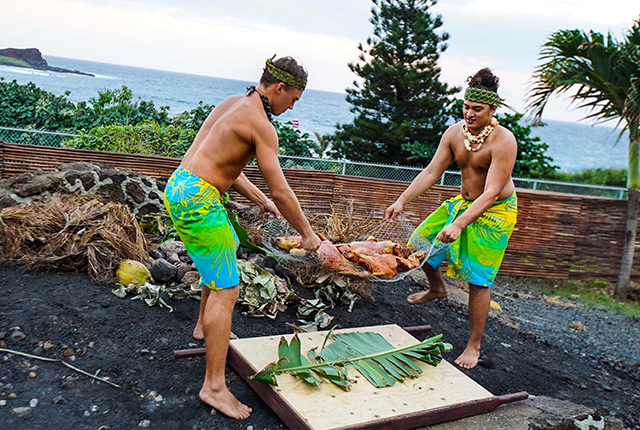 夏威夷海洋公园 – 卡莫阿纳鲁奥经典套餐