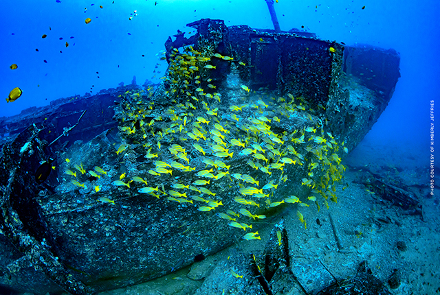 夏威夷欧胡岛亚特兰蒂斯豪华潜水艇